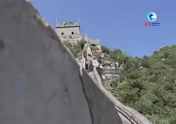 F1夜战：陇右天虎队淘汰对手皖南霹雳队，临门一脚致胜禁区内连续解围(中国f1第一人)